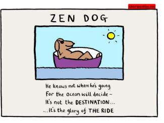 zen dog